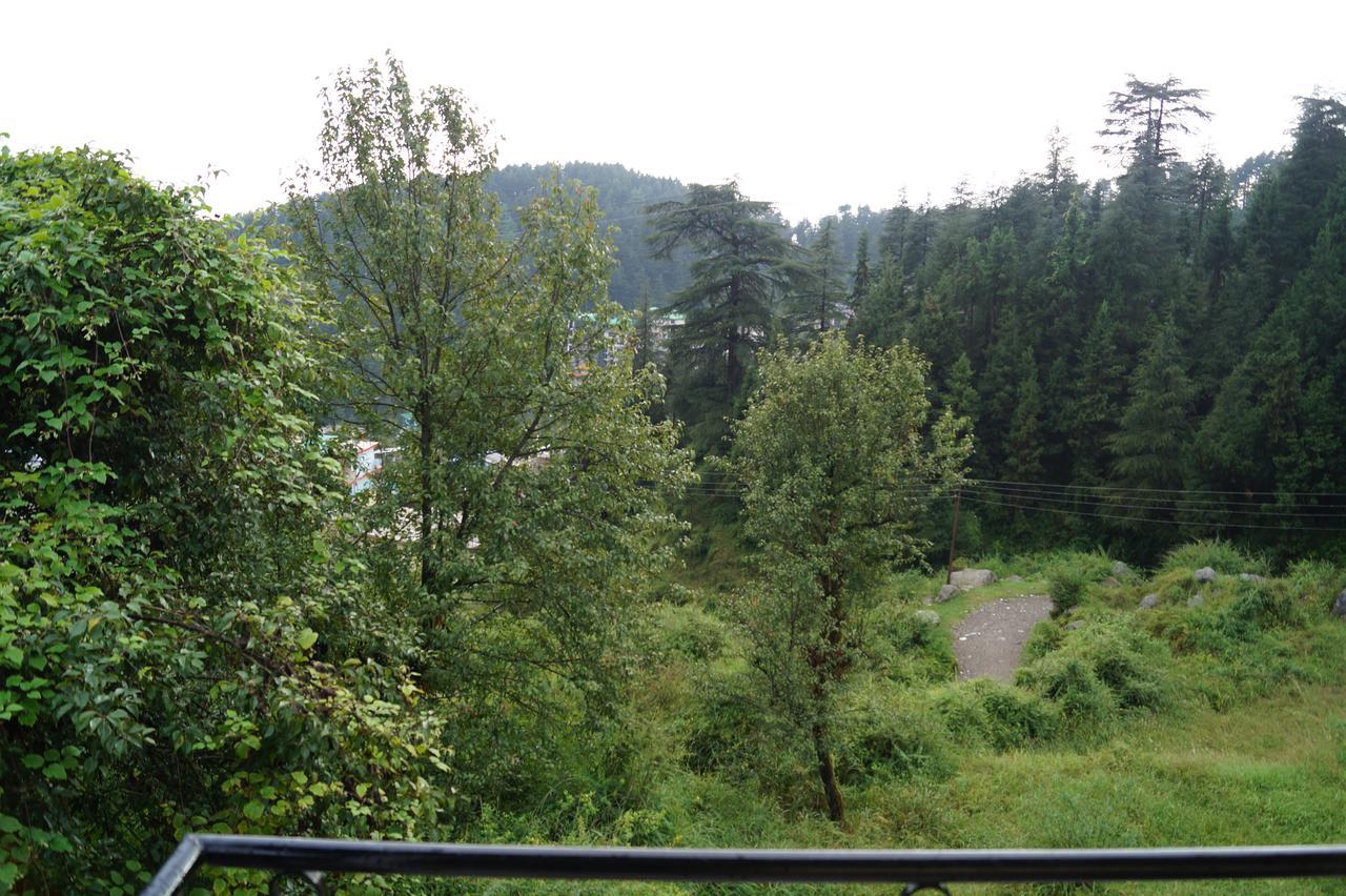 Hotel Shivalay Dharamsala Zewnętrze zdjęcie